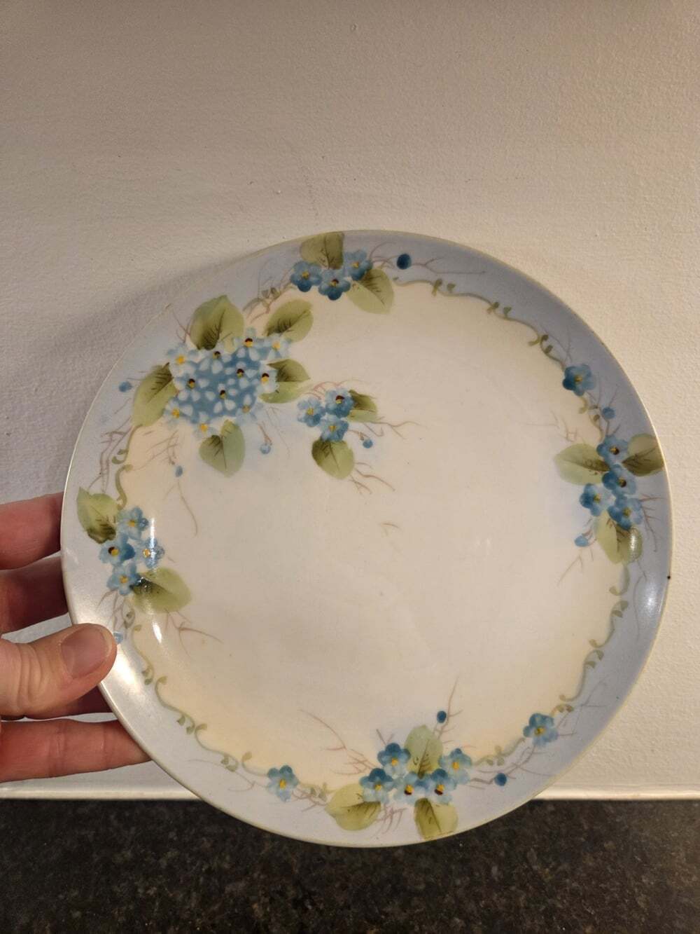 Nippon Vtg Hand-Painted Plate Forget Me Nots Floral Flowers Blue